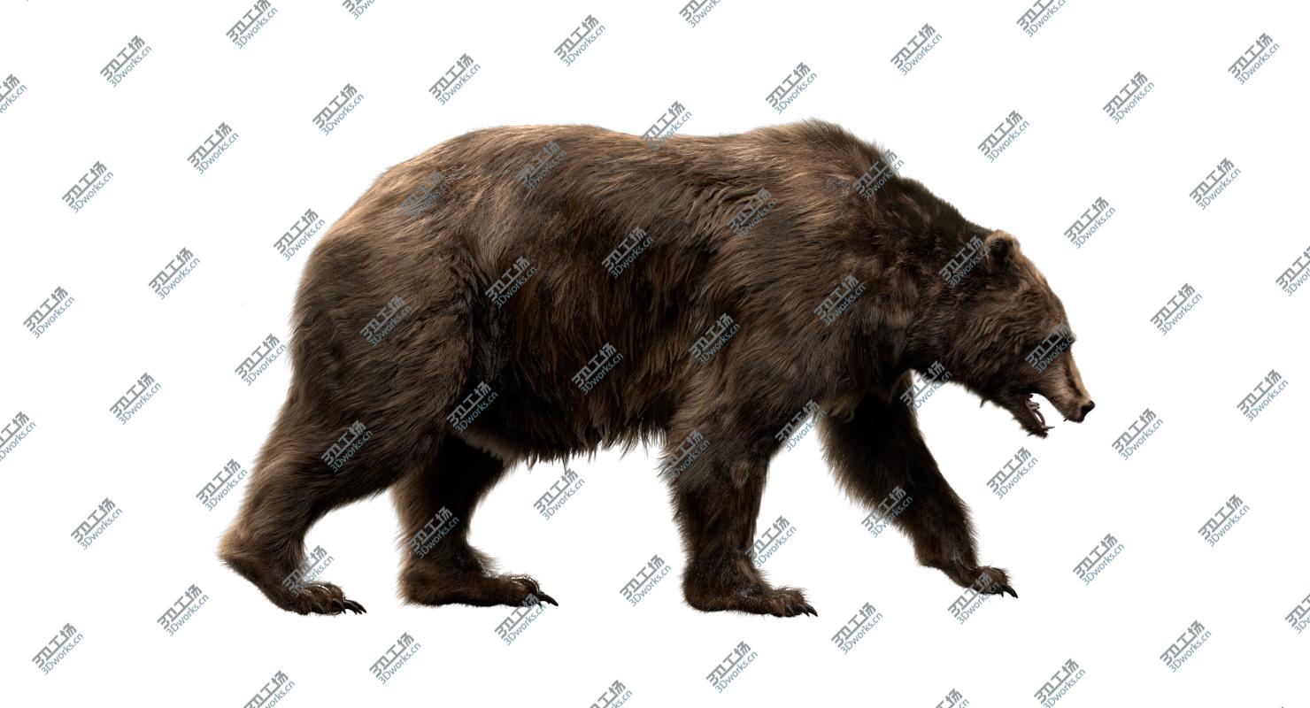 images/goods_img/202104022/Bear (Fur) (Rigged) 3D model/3.jpg